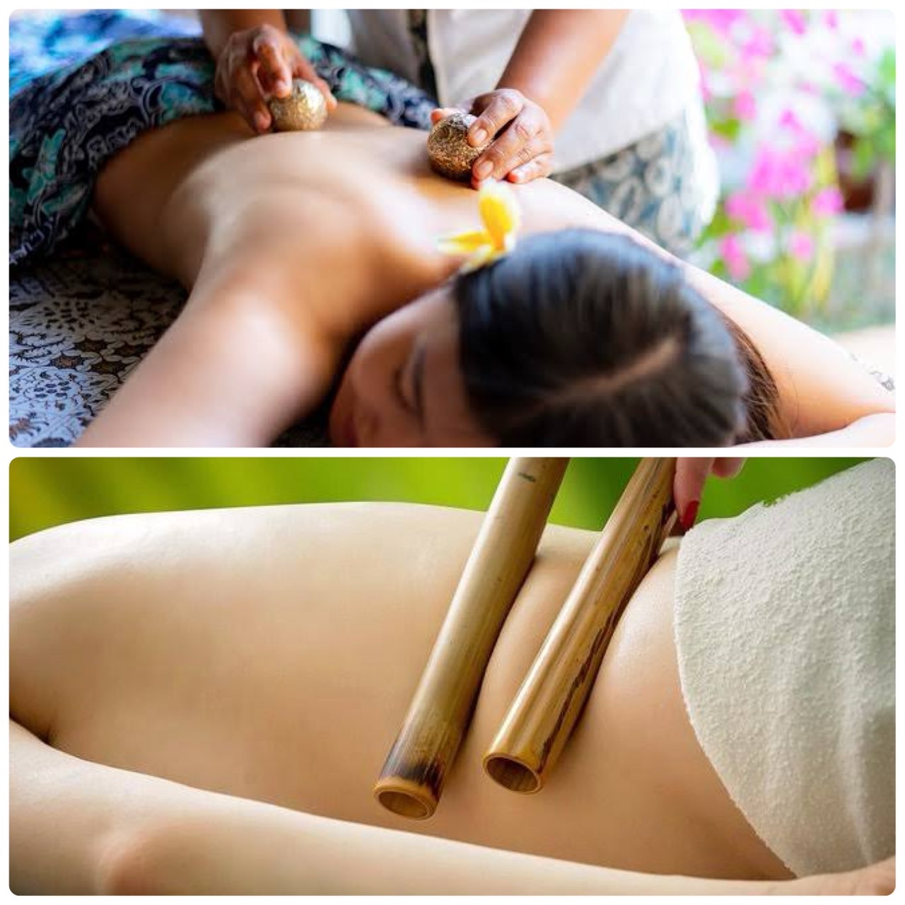 ギタサンティ【バリニーズ】